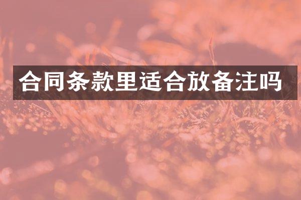 合同条款里适合放备注吗