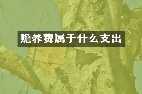 赡养费属于什么支出