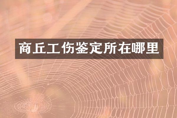 商丘工伤鉴定所在哪里