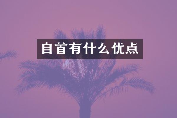 自首有什么优点