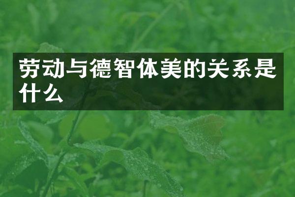 劳动与德智体美的关系是什么