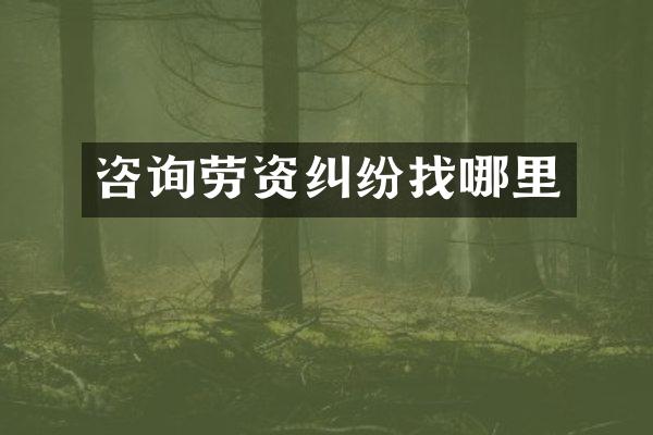 咨询劳资纠纷找哪里