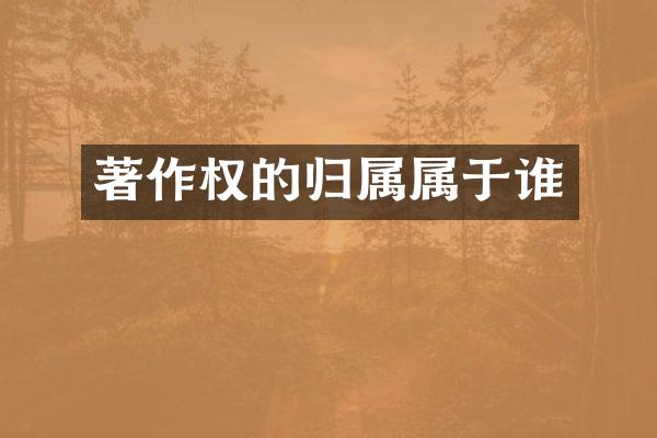 著作权的归属属于谁