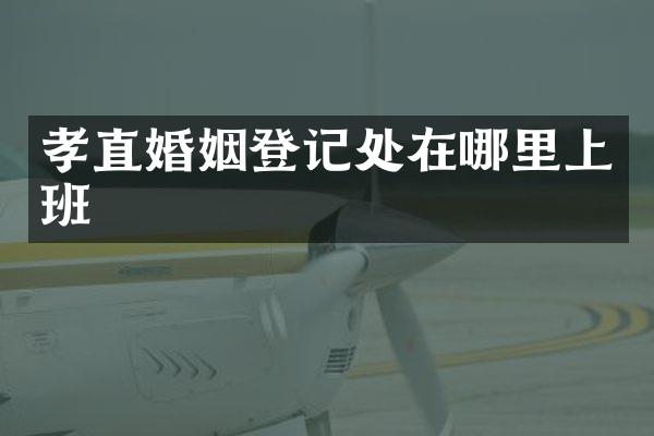 孝直婚姻登记处在哪里上班