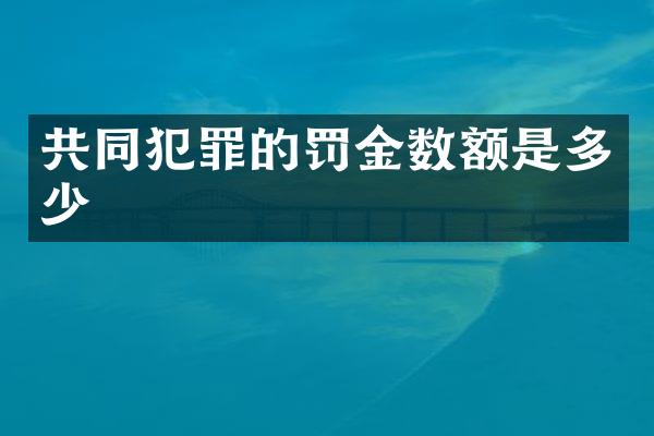 共同犯罪的罚金数额是多少