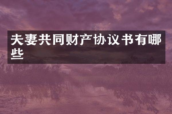 夫妻共同财产协议书有哪些