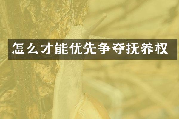 怎么才能优先争夺抚养权