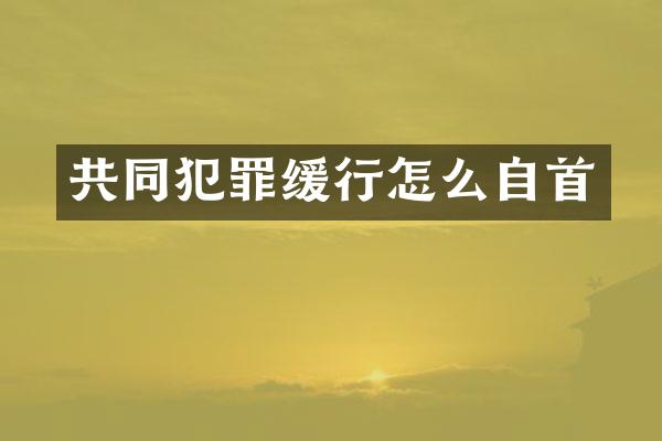共同犯罪缓行怎么自首