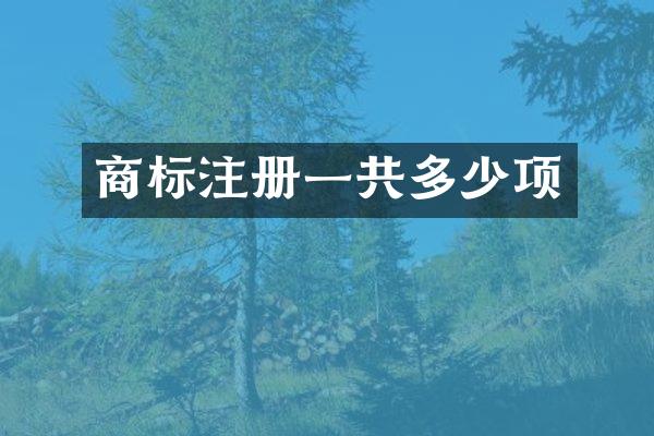 商标注册一共多少项