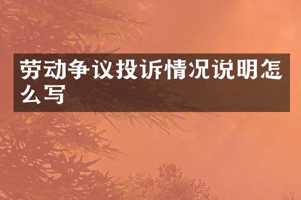 劳动争议投诉情况说明怎么写