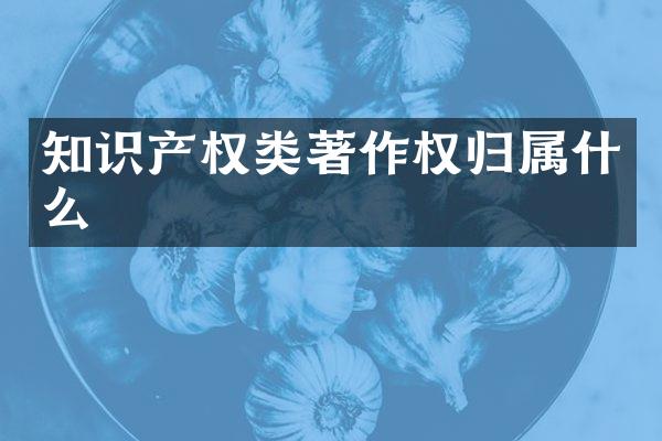 知识产权类著作权归
