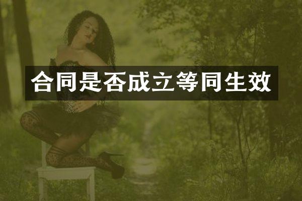 合同是否成立等同生效