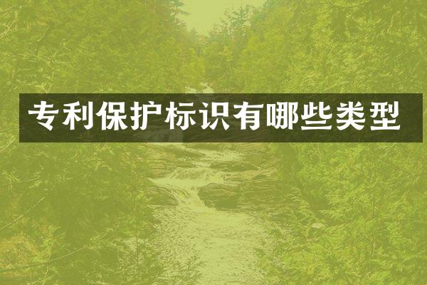 专利保护标识有哪些类型
