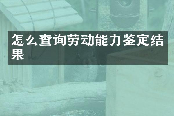 怎么查询劳动能力鉴定结果