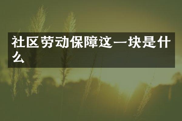 社区劳动保障这一块是什么