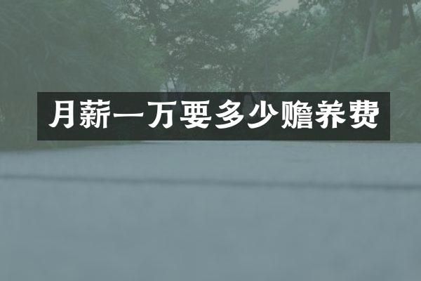 月薪一万要多少赡养费
