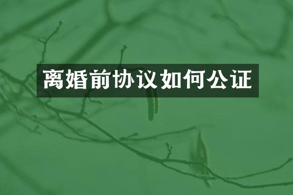 离婚前协议如何公证