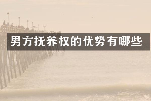 男方抚养权的优势有哪些