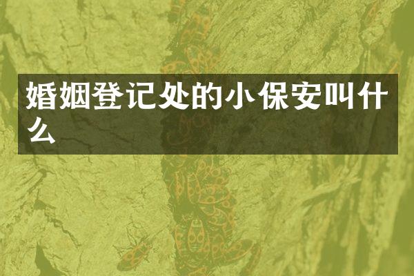 婚姻登记处的小保安叫什么