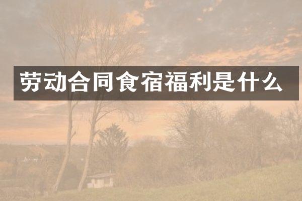 劳动合同食宿福利是什么