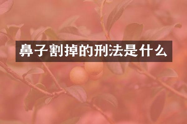 鼻子割掉的刑法是什么