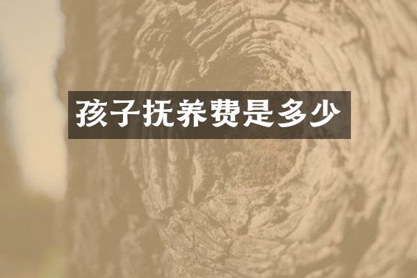孩子抚养费是多少