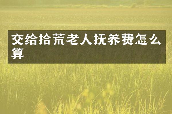 交给拾荒老人抚养费怎么算
