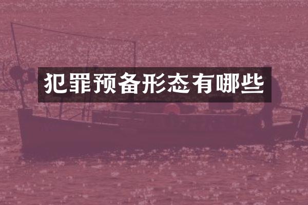 犯罪预备形态有哪些