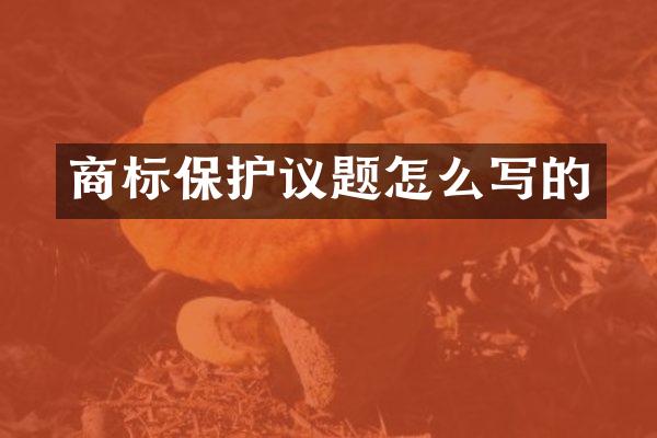 商标保护议题怎么写的