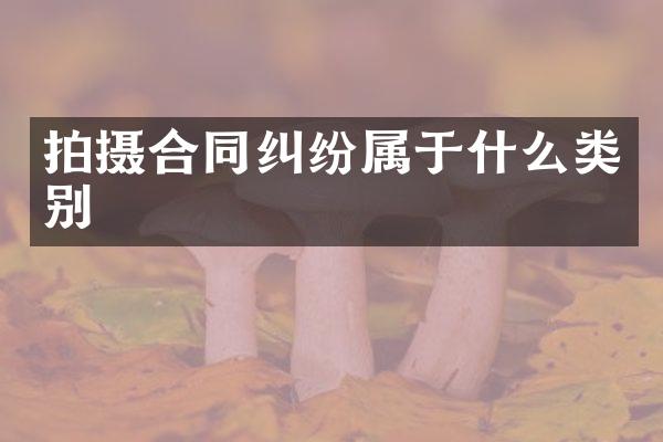 拍摄合同纠纷属于什么类别