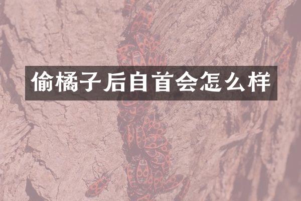 偷橘子后自首会怎么样