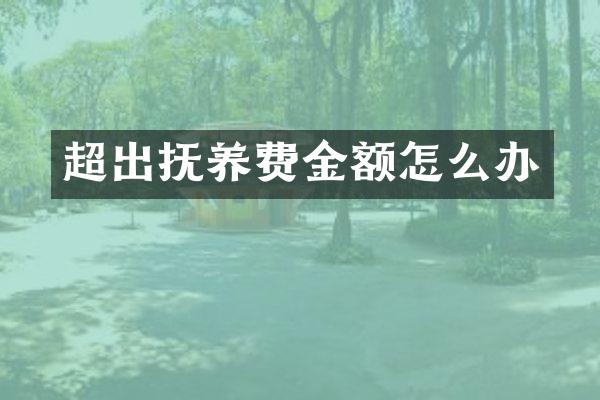 超出抚养费金额怎么办