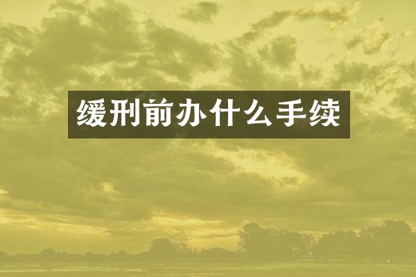 缓刑前办什么手续