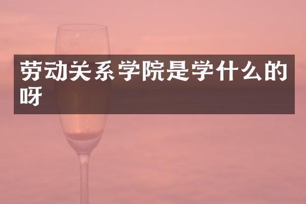 劳动关系学院是学什么的呀