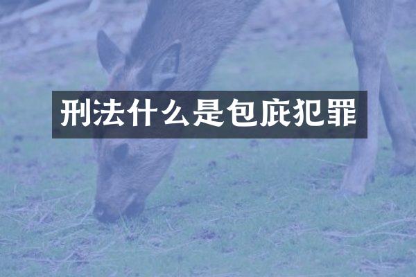 刑法什么是包庇犯罪