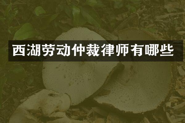 西湖劳动仲裁律师有哪些