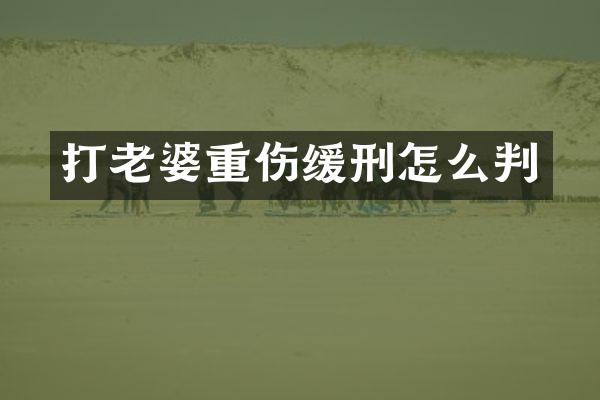 打老婆重伤缓刑怎么判