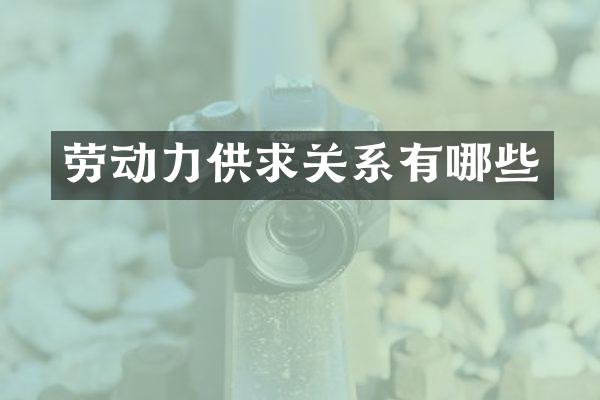 劳动力供求关系有哪些