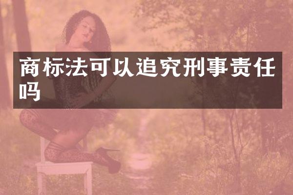 商标法可以追究刑事责任吗