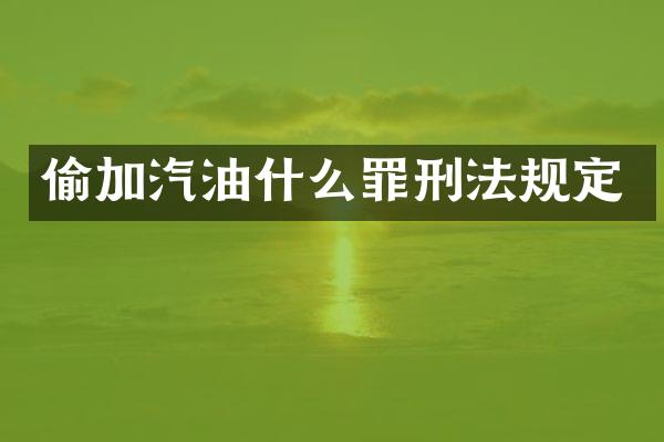 偷加汽油什么罪刑法规定
