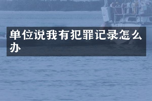 单位说我有犯罪记录怎么办