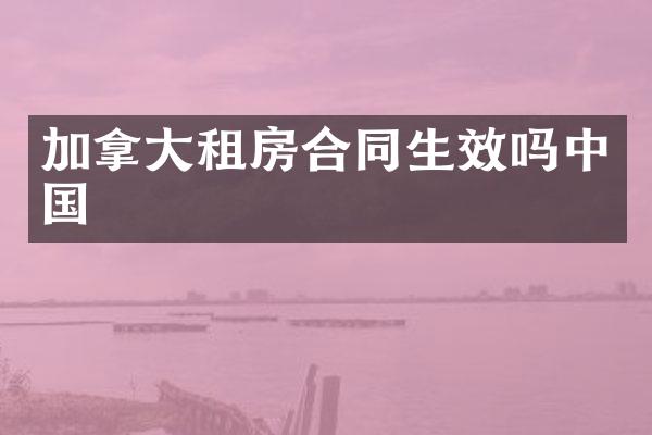 加拿大租房合同生效吗中国
