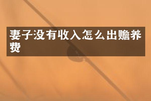 妻子没有收入怎么出赡养费