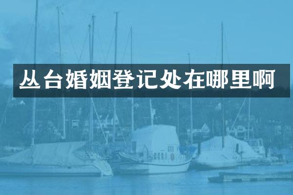 丛台婚姻登记处在哪里啊