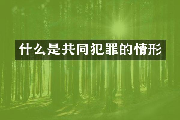什么是共同犯罪的情形