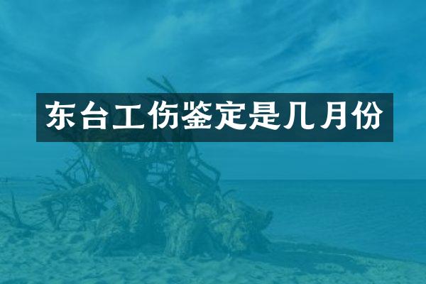 东台工伤鉴定是几月份
