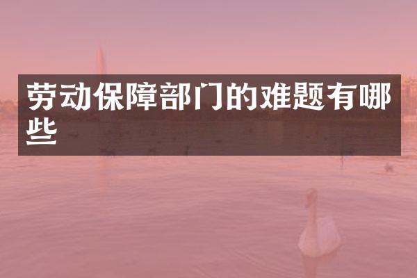 劳动保障部门的难题有哪些