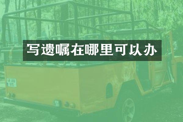 写遗嘱在哪里可以办