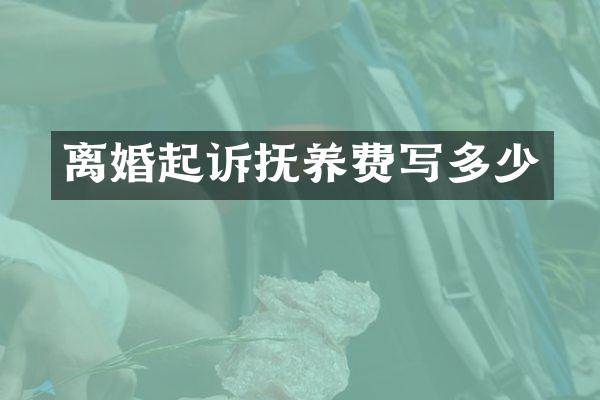 离婚起诉抚养费写多少