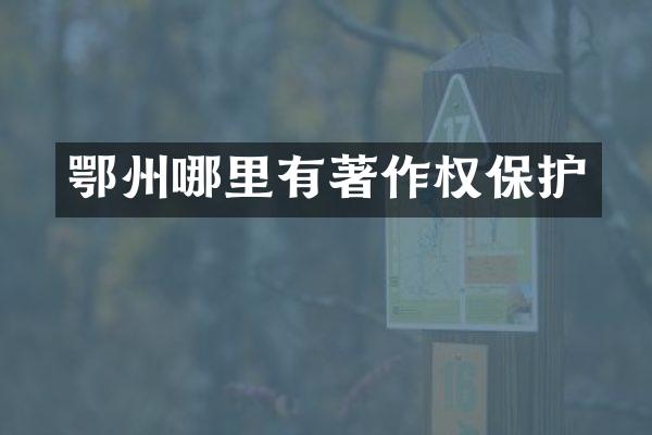 鄂州哪里有著作权保护